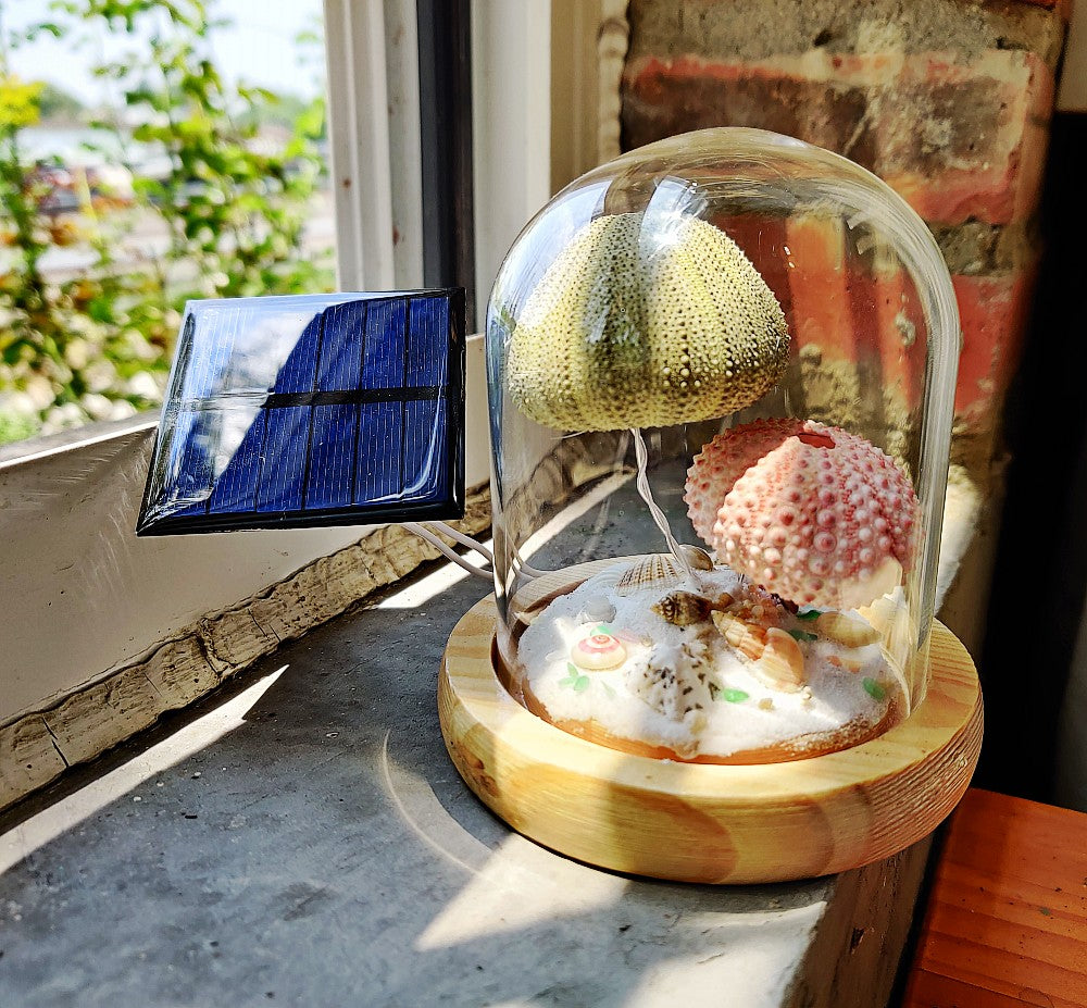 Solar Night Light Sea urchin lamp Interesting gifts for kids desktop ornaments decoration