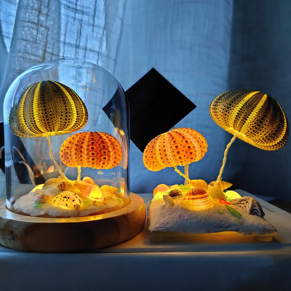 Solar night light Sea urchin Shell light Creative gift for friends desktop bedroom decoration