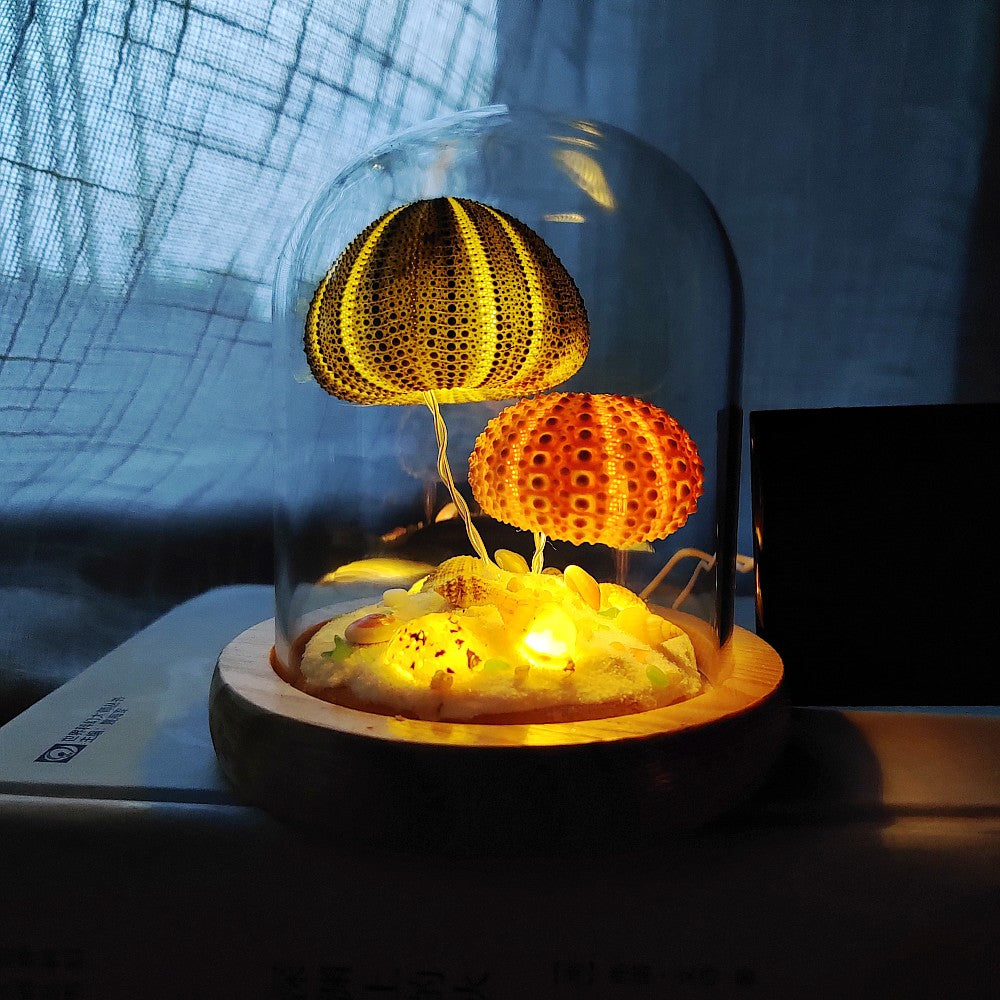 Solar Night Light Sea urchin lamp Interesting gifts for kids desktop ornaments decoration