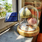 Solar Night Light Sea urchin lamp Interesting gifts for kids desktop ornaments decoration