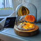 Solar Night Light Sea urchin lamp Interesting gifts for kids desktop ornaments decoration