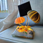 Solar night light Sea urchin Shell light Creative gift for friends desktop bedroom decoration