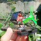 tiny Mendocino Motor Propeller type  magnetic suspension solar toy Scientific physics  Solar rotation Pressure reducing EDC toy